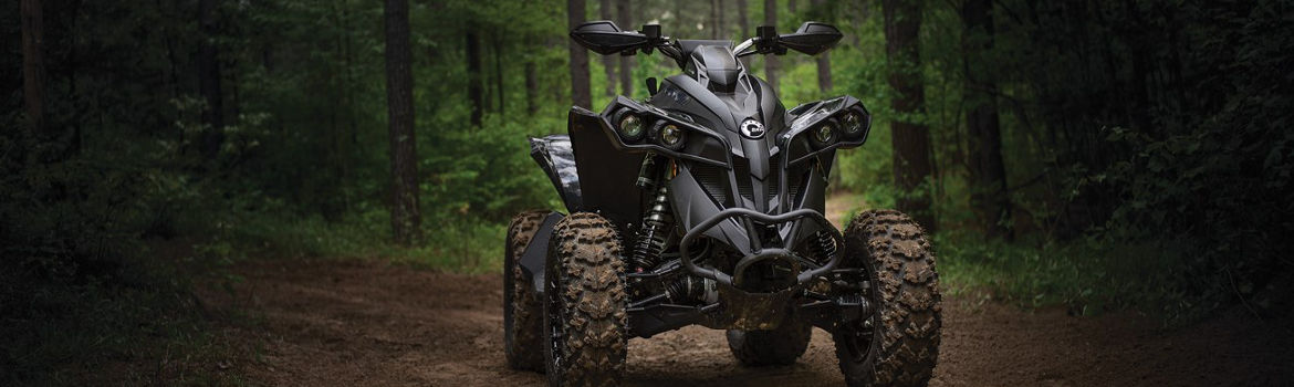 2019 Can-Am&reg; Renegade for sale in Motosport Roanoke, Roanoke, Virginia